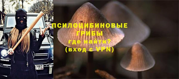 шишки Зеленокумск