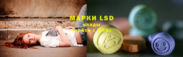 стафф Зерноград
