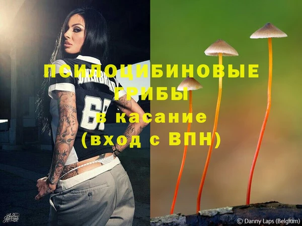 шишки Зеленокумск