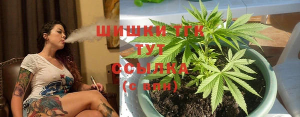 стафф Зерноград