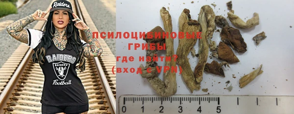 стафф Зерноград